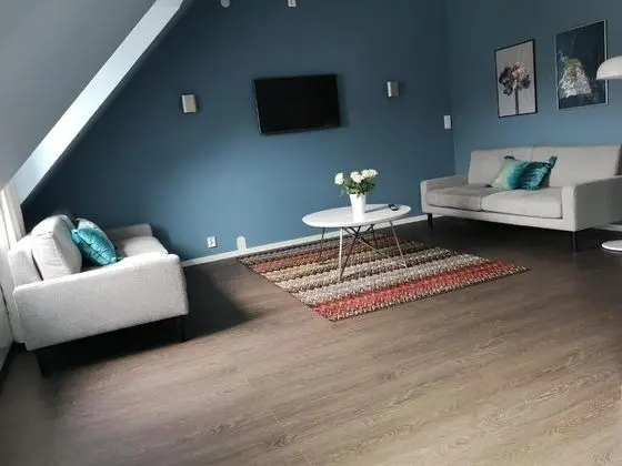 Standard Apartment, Multiple Beds, Non Smoking, Kitchen (with Sofabed)