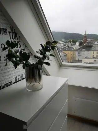 Standard Apartment, Multiple Beds, Non Smoking, Kitchen (with Sofabed)