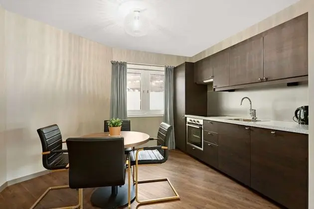Standard Apartment, Multiple Beds, Non Smoking, Kitchen (with Sofabed)