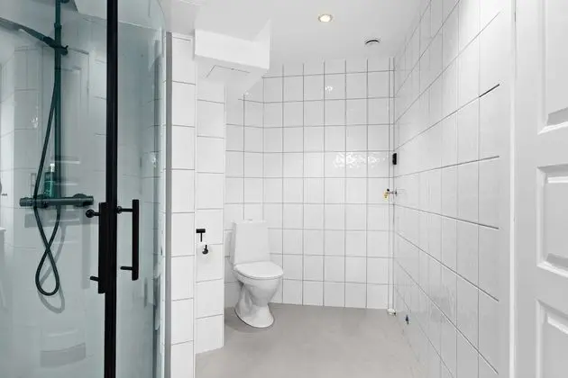 Standard Apartment, Multiple Beds, Non Smoking, Kitchen (with Sofabed)