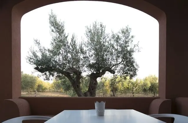 Standard Stüdyo, Veranda