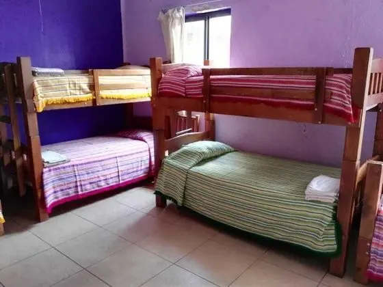 Basic Ortak Ranzalı Oda, Sadece kadınlar için, Ortak Banyo, Kule