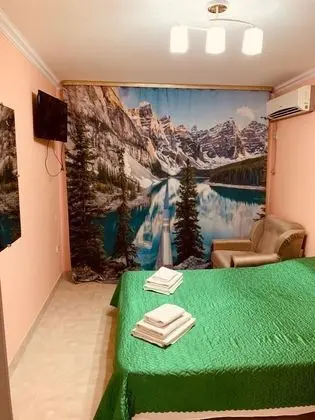 Comfort Tek Büyük Yataklı Oda, 1 Çift Kişilik Yatak, Buzdolabı ve Mikrodalga, Avlu Manzaralı