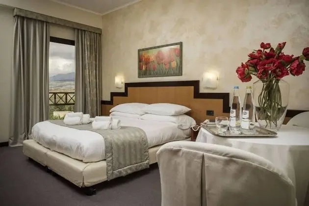 Superior Tek Büyük Yataklı Oda