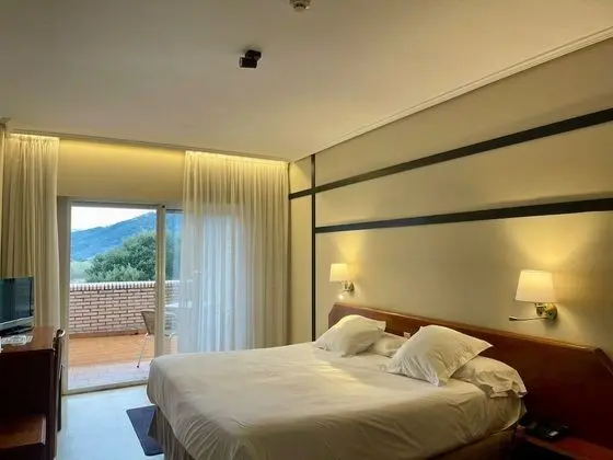 Superior Tek Büyük Yataklı Oda, Balkon