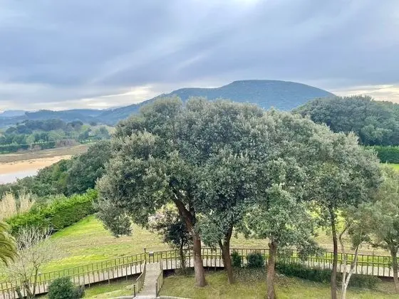 Superior Tek Büyük Yataklı Oda, Balkon