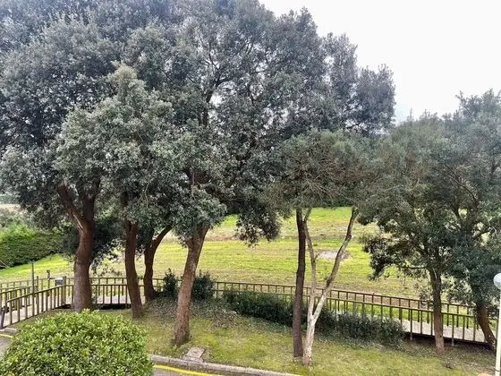 Superior Tek Büyük Yataklı Oda, Balkon