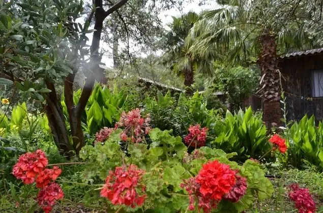 Bungalow - Çift Kişilik, Bahçe Manzaralı