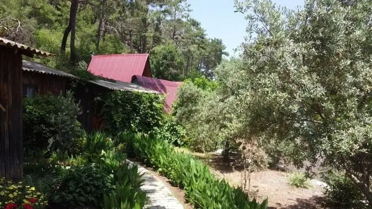 Bungalow - Çift Kişilik, Bahçe Manzaralı