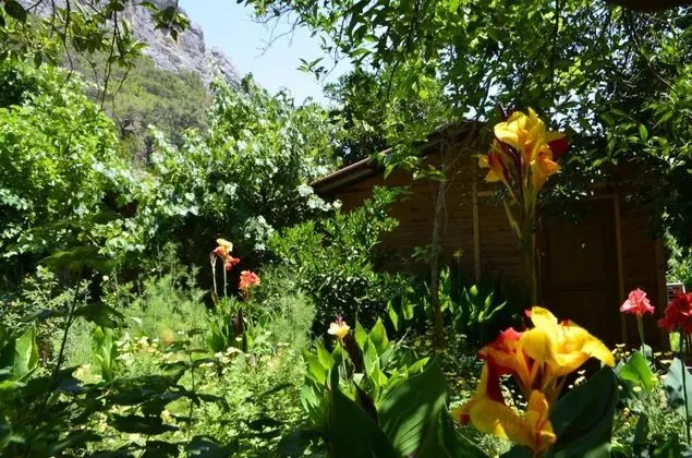Geniş Standart Oda, Bahçe Manzaralı