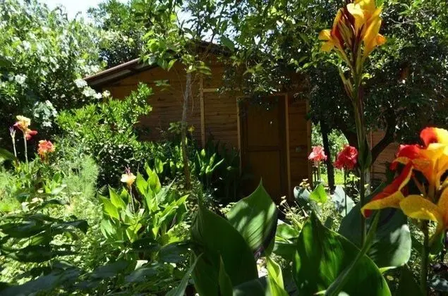 Geniş Standart Oda, Bahçe Manzaralı