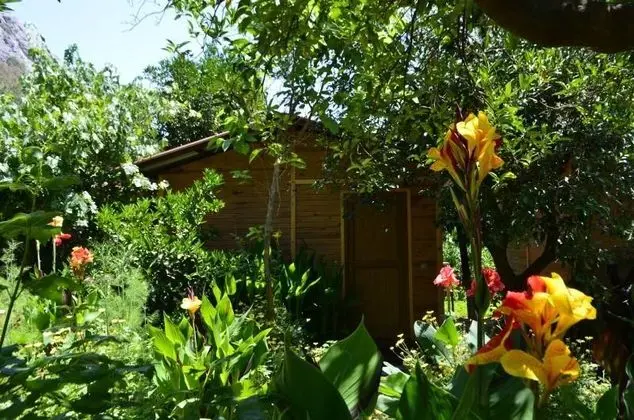 Geniş Standart Oda, Bahçe Manzaralı