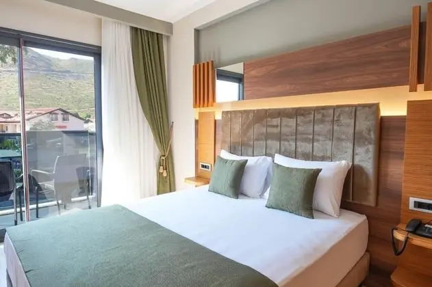 Deluxe Comfort Oda, Havuz Manzaralı, Balkonlu