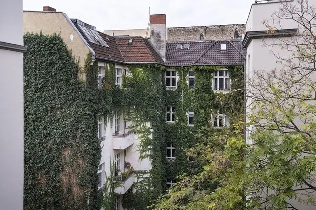 Deluxe Süit