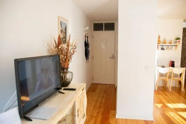 One-Bedroom apartment with Balcony (Terra)