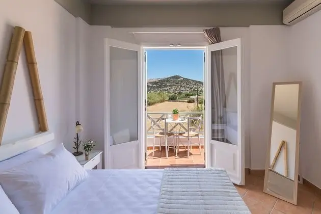 Basic Double room