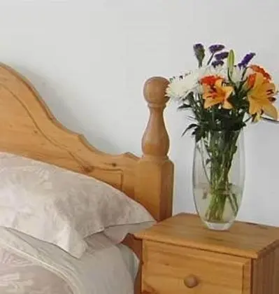 Deluxe Tek Büyük veya İki Ayrı Yataklı Oda, Deniz Manzaralı