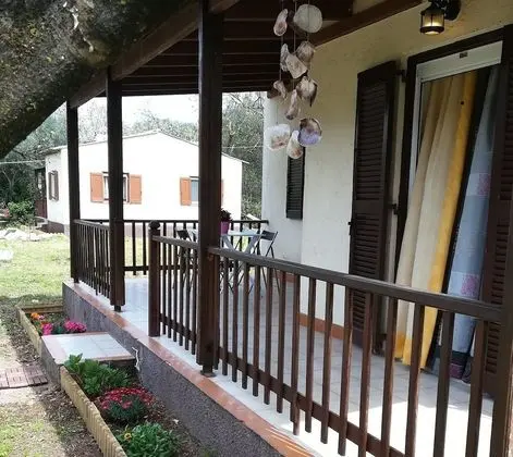 Ev, 2 Yatak Odası, Engellilere Uygun, Sigara İçilebilir