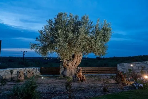 Villa, 3 Yatak Odası, Kişiye Özel Havuzlu (Elanthi)
