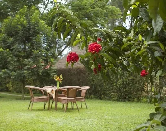 Bungalov, 2 Yatak Odası