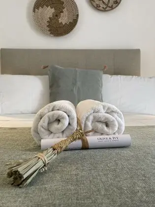 Deluxe Süit, Banyolu/Duşlu (Deluxe Suite)