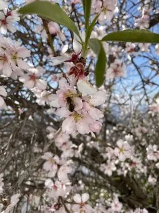 Deluxe Tek Büyük Yataklı Oda, Banyolu/Duşlu (Room 101 &  201)