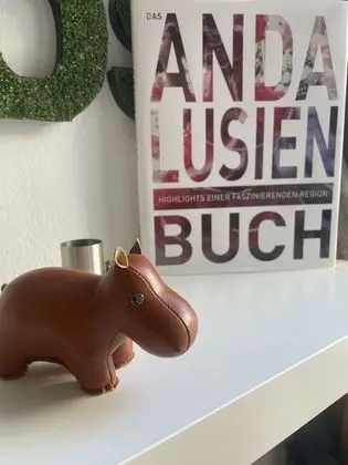 Deluxe Tek Büyük Yataklı Oda, Banyolu/Duşlu (Room 101 &  201)