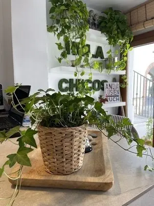 Standard Tek Büyük Yataklı Oda, Banyolu/Duşlu (102 & 202)