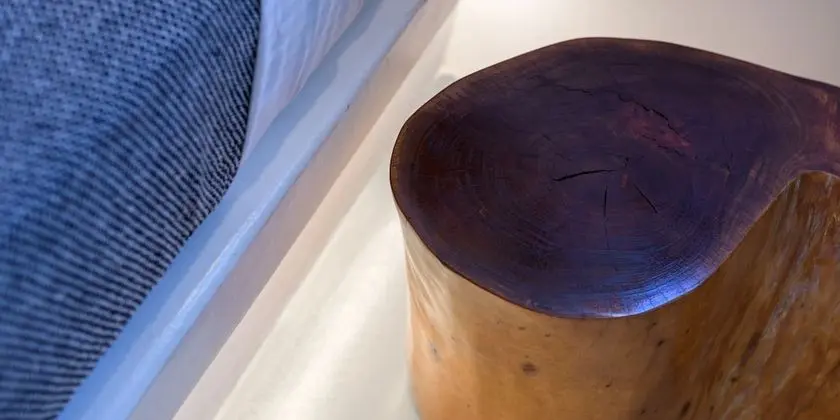 Standard Oda