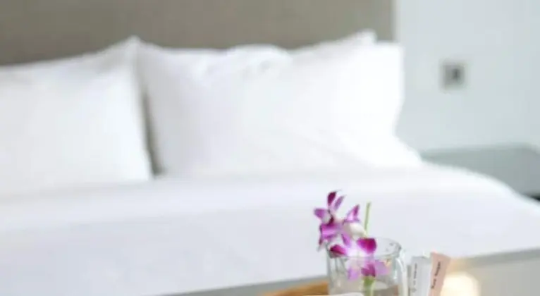 Olive Deluxe Room