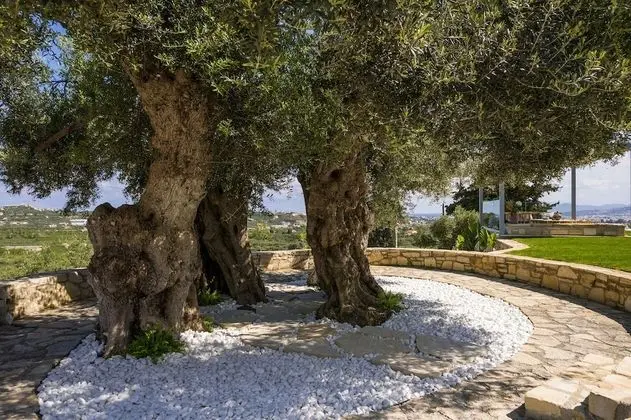 Villa, Birden Çok Yatak Odası, Şömine