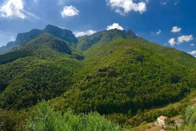 Ev, Birden Çok Yatak