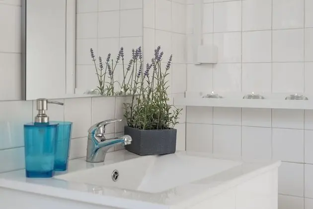 Superior Apart Daire, 2 Yatak Odası, Balkon, Şehir Manzaralı