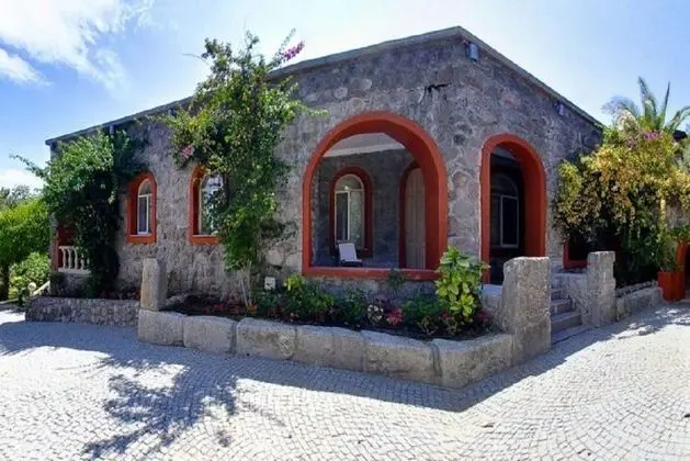 Palmiye