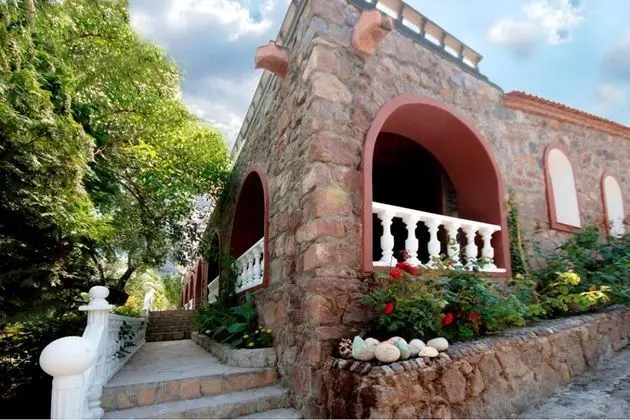 Palmiye