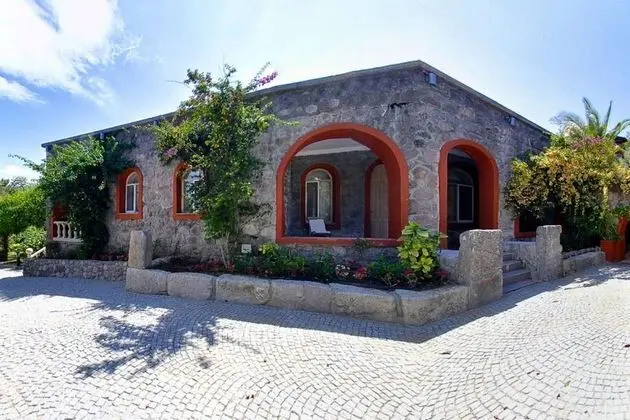 Palmiye
