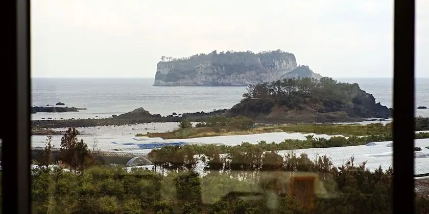 Tek Büyük Yataklı Oda, Mikrodalga, Okyanus Manzaralı