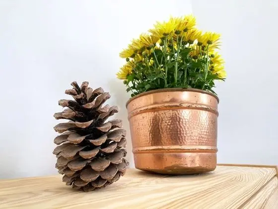 Kookos Twin Room, Shared Bathroom