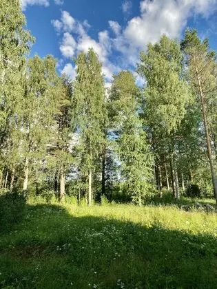 Tuohi Double/Twin Room, Shared Bathroom