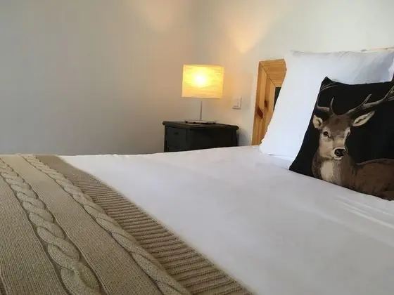 Standard Tek Büyük Yataklı Oda, Bahçe Manzaralı