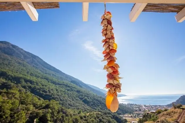 Superıor Oda Deniz ve Havuz Manzaralı