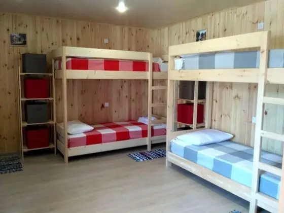 Economy Ortak Ranzalı Oda (Bed in 8-beds shares dormitory #1)