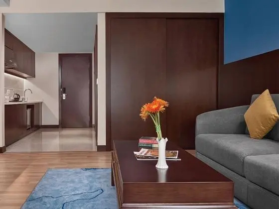 Deluxe Tek Büyük Yataklı Oda (Studio)