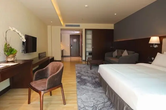Deluxe Tek Büyük Yataklı Oda (Studio)