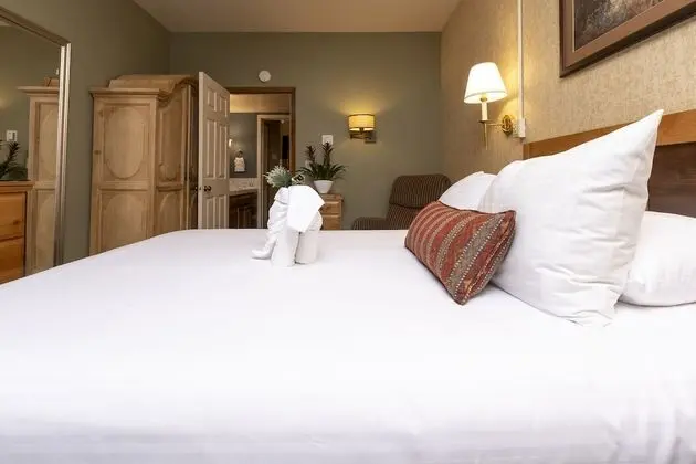 Deluxe Apart Daire, 1 Büyük (Queen) Boy Yatak ve Çekyat, Küçük Mutfak