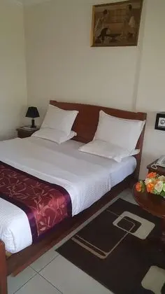 Executive Oda, 1 Yatak Odası, Şehir Manzaralı