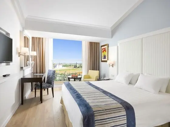 Deluxe Tek Kişilik Oda, Avlu Manzaralı