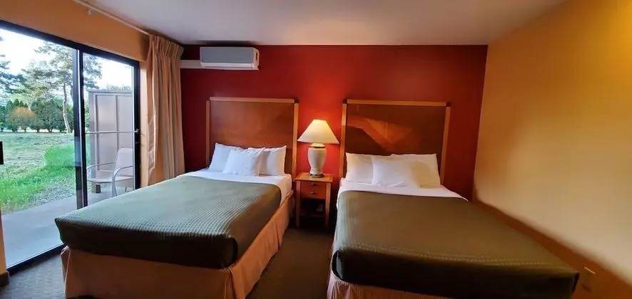 Executive Tek Büyük Yataklı Oda (No Pets)