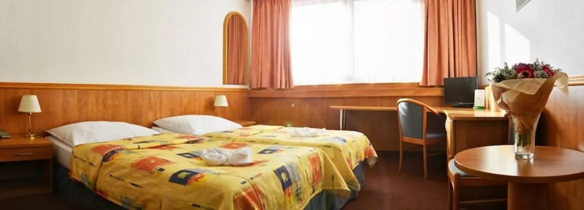 Standard Tek Büyük veya İki Ayrı Yataklı Oda