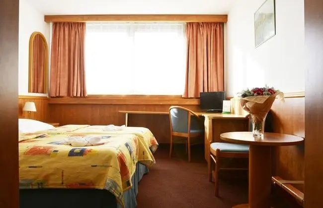 Standard Tek Büyük veya İki Ayrı Yataklı Oda (Wifi and Parking)